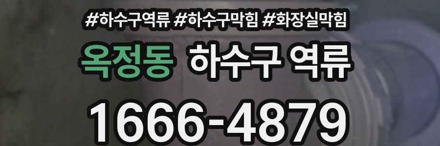 옥정동 하수구 역류