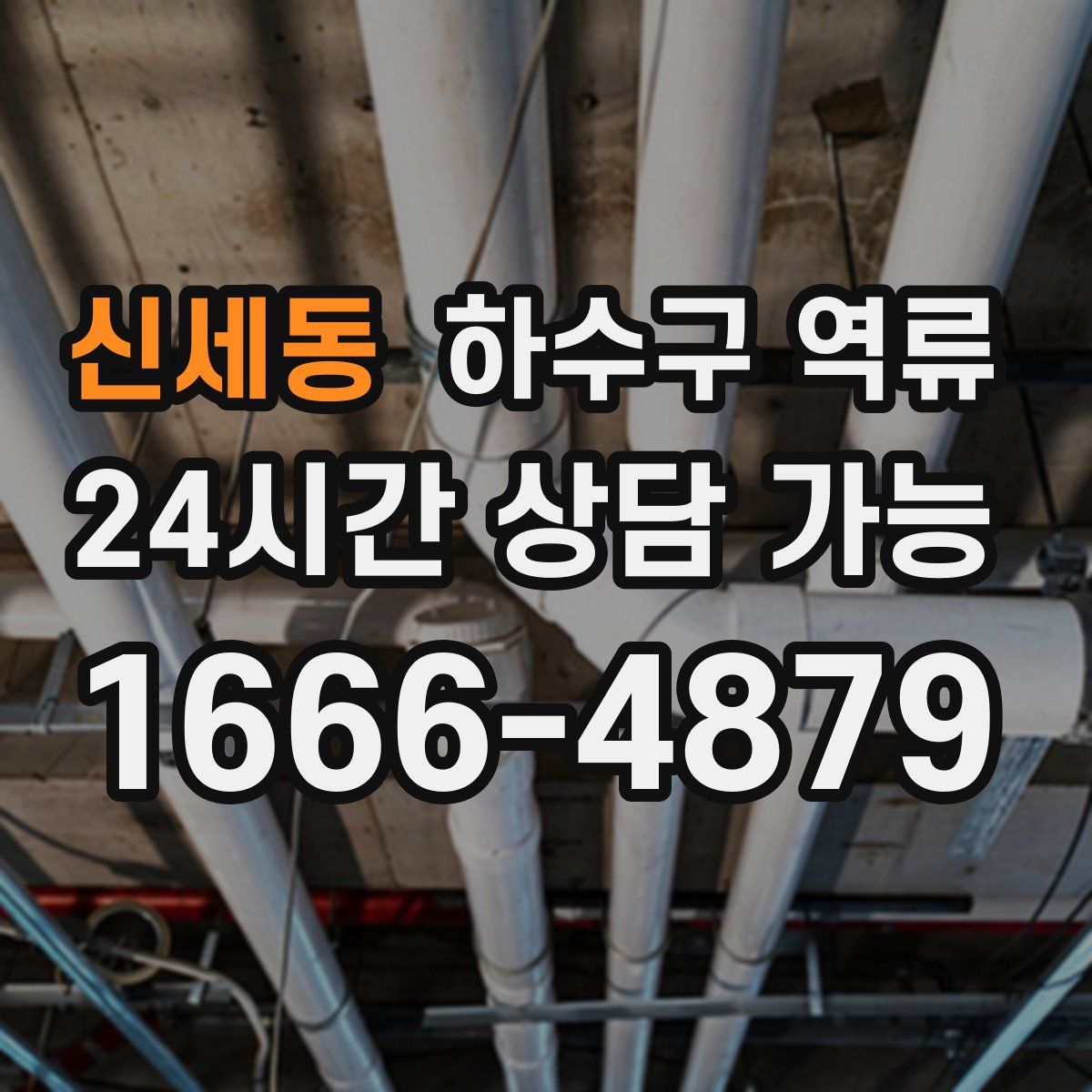 신세동 하수구 역류