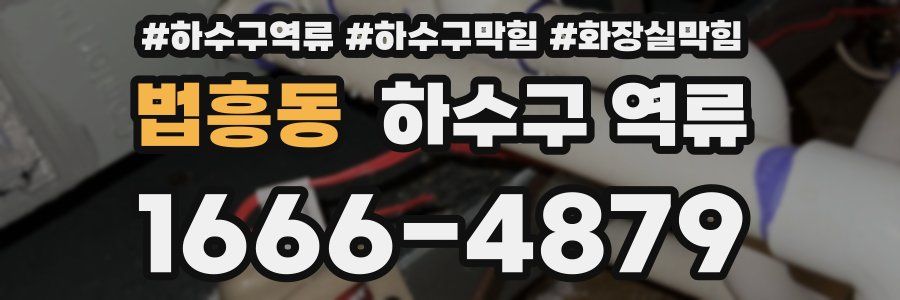 법흥동 하수구 역류