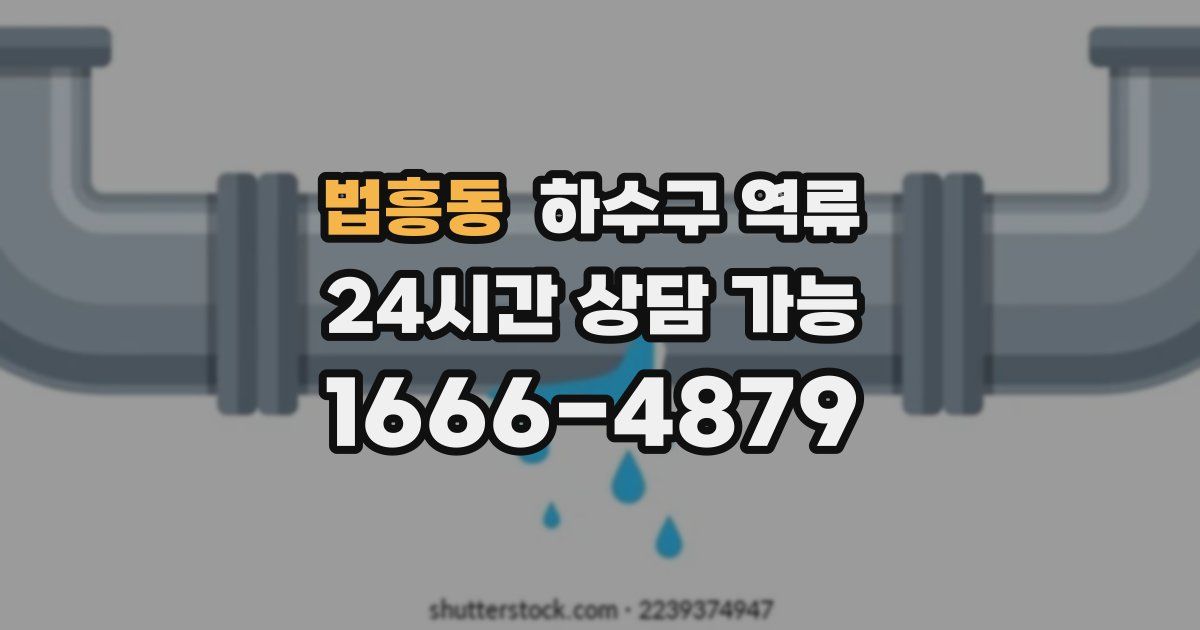 법흥동 하수구 역류