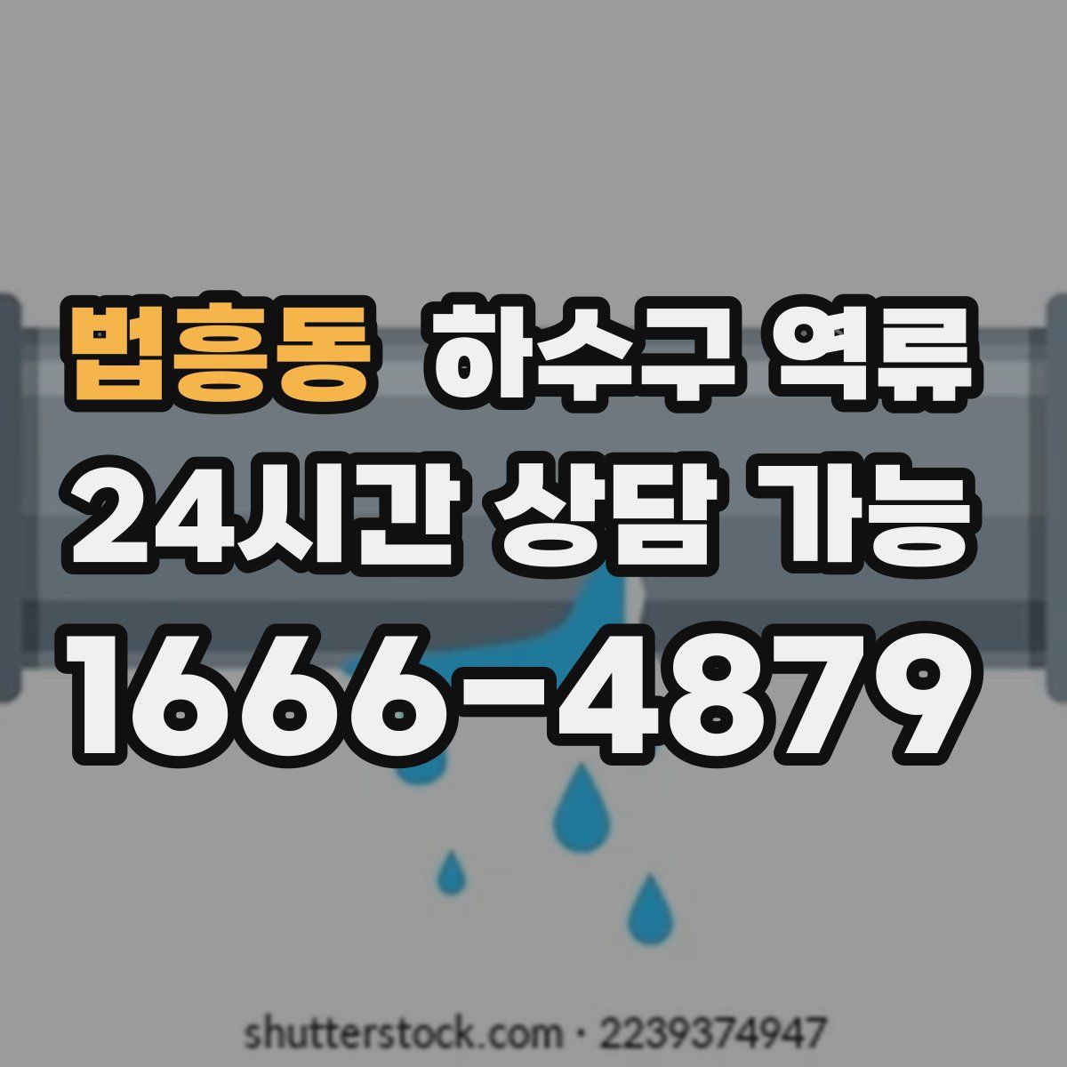 법흥동 하수구 역류