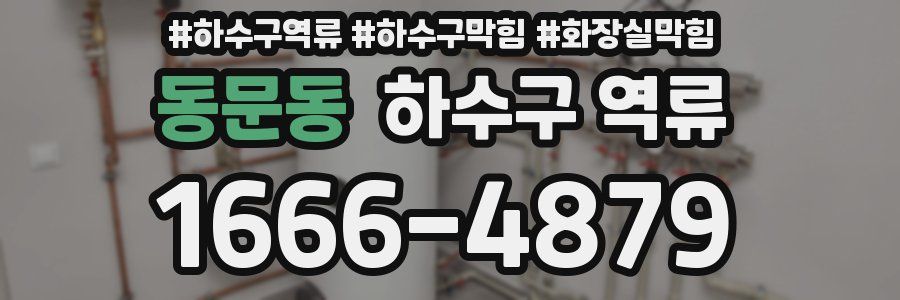 동문동 하수구 역류