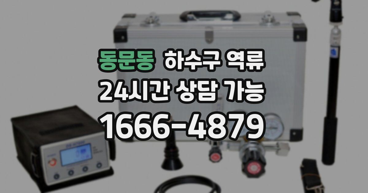 동문동 하수구 역류