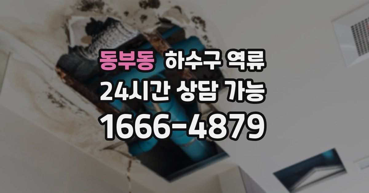 동부동 하수구 역류