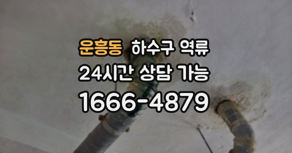 운흥동 하수구 역류