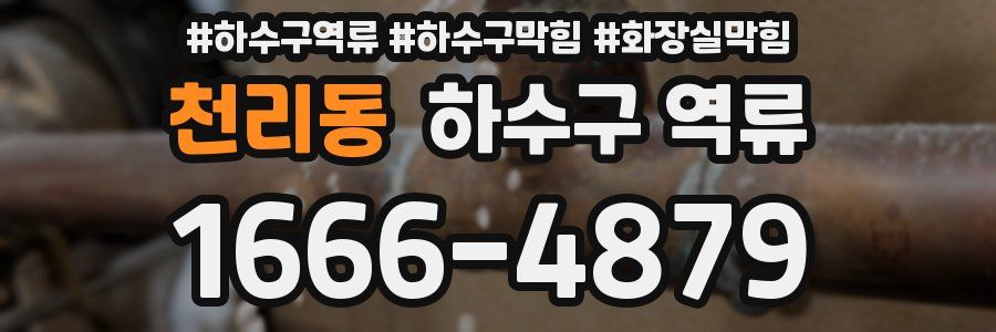 천리동 하수구 역류