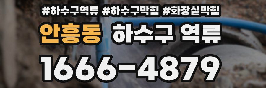 안흥동 하수구 역류