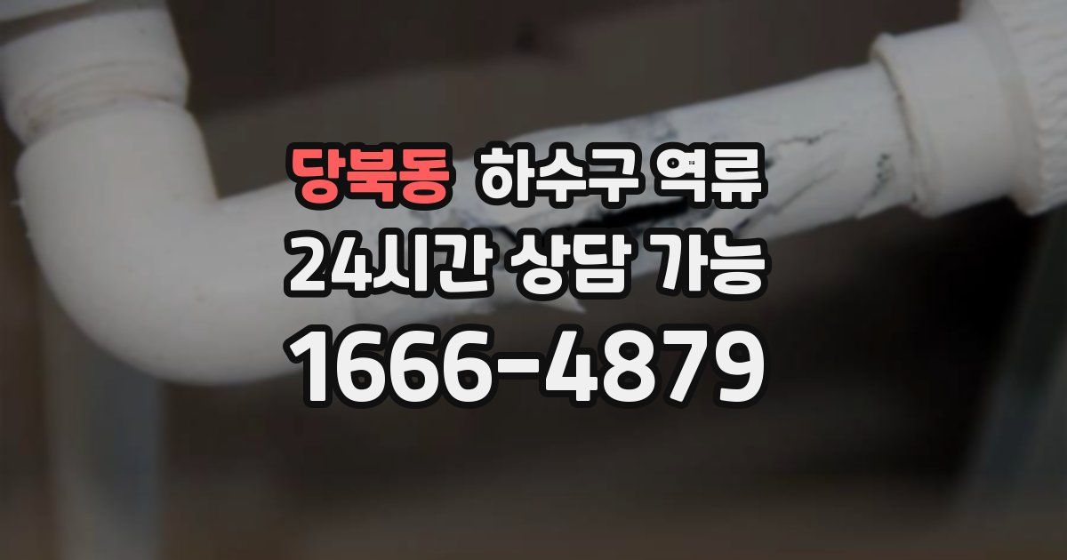 당북동 하수구 역류