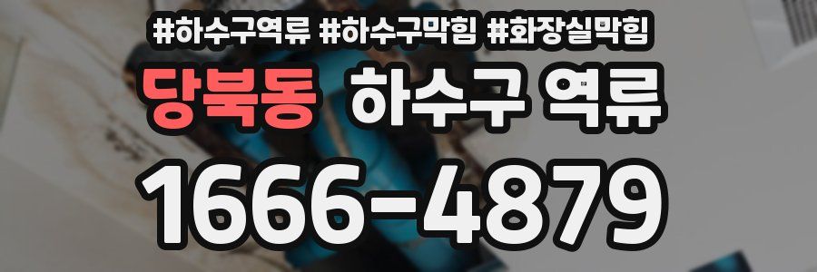 당북동 하수구 역류