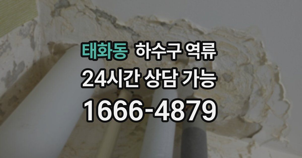 태화동 하수구 역류