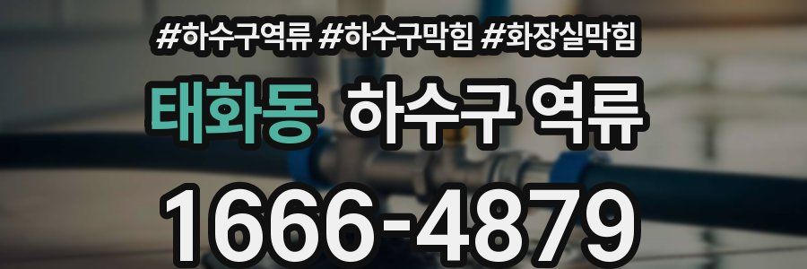 태화동 하수구 역류