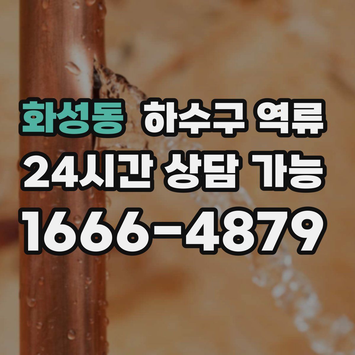 화성동 하수구 역류