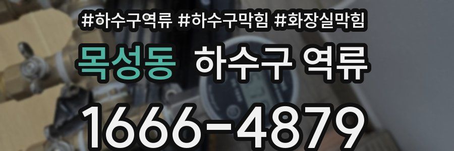 목성동 하수구 역류