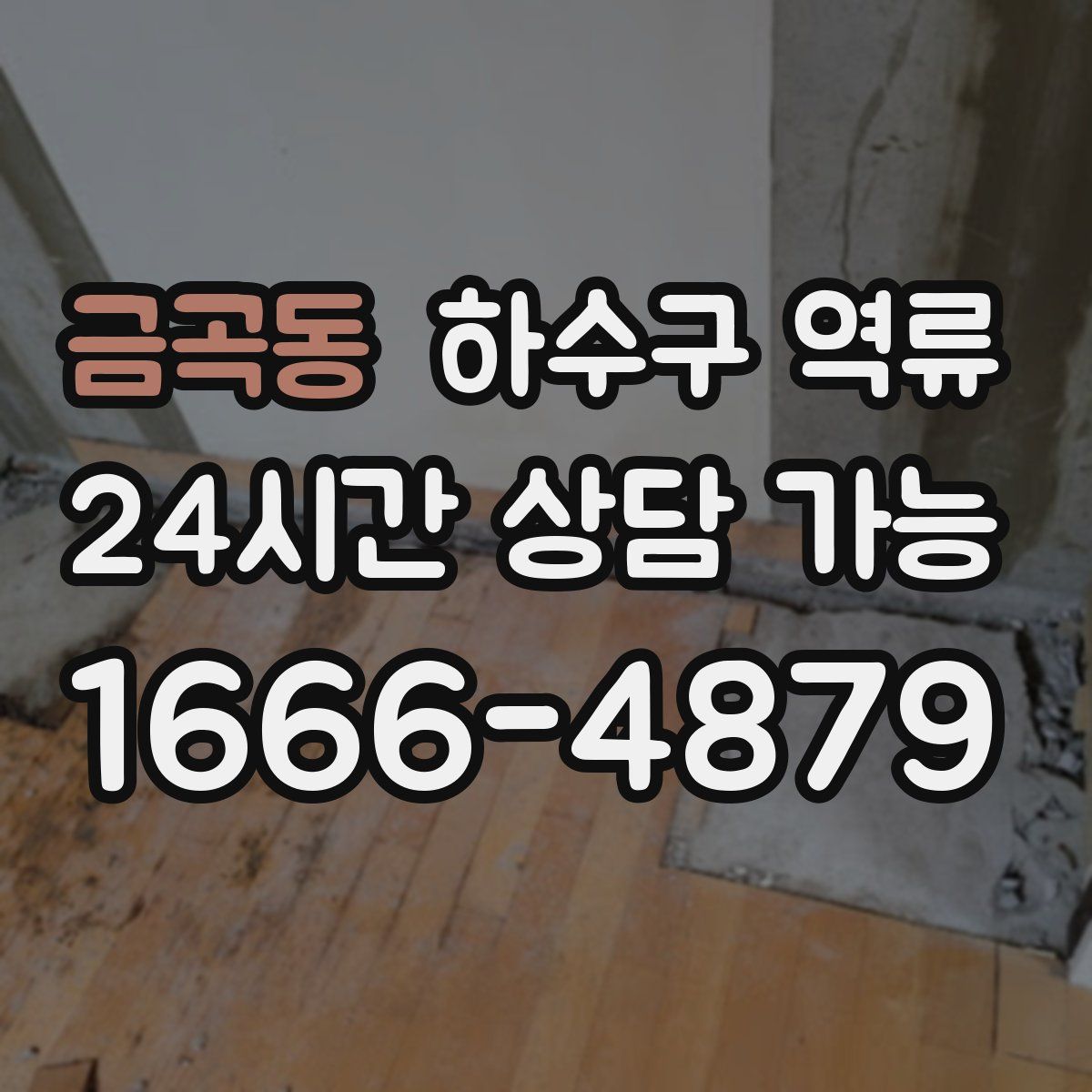 금곡동 하수구 역류