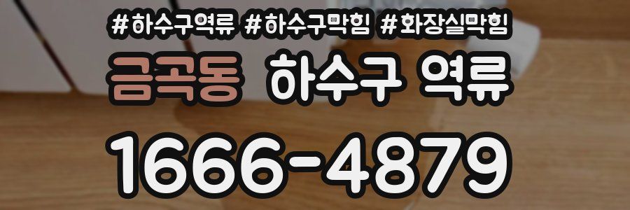 금곡동 하수구 역류