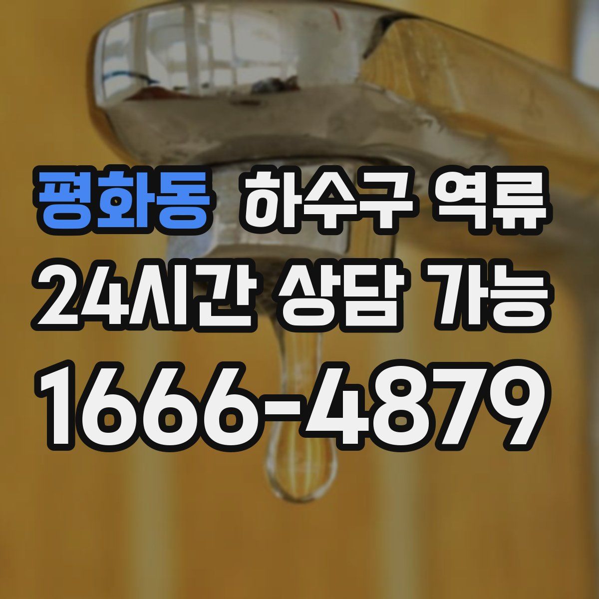 평화동 하수구 역류