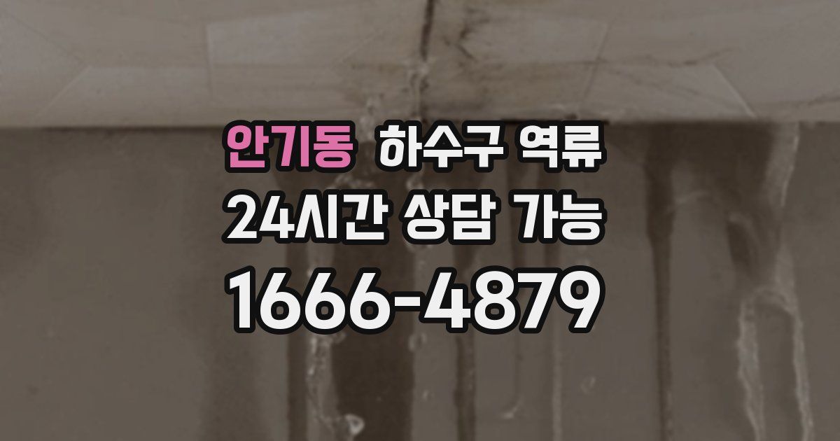 안기동 하수구 역류