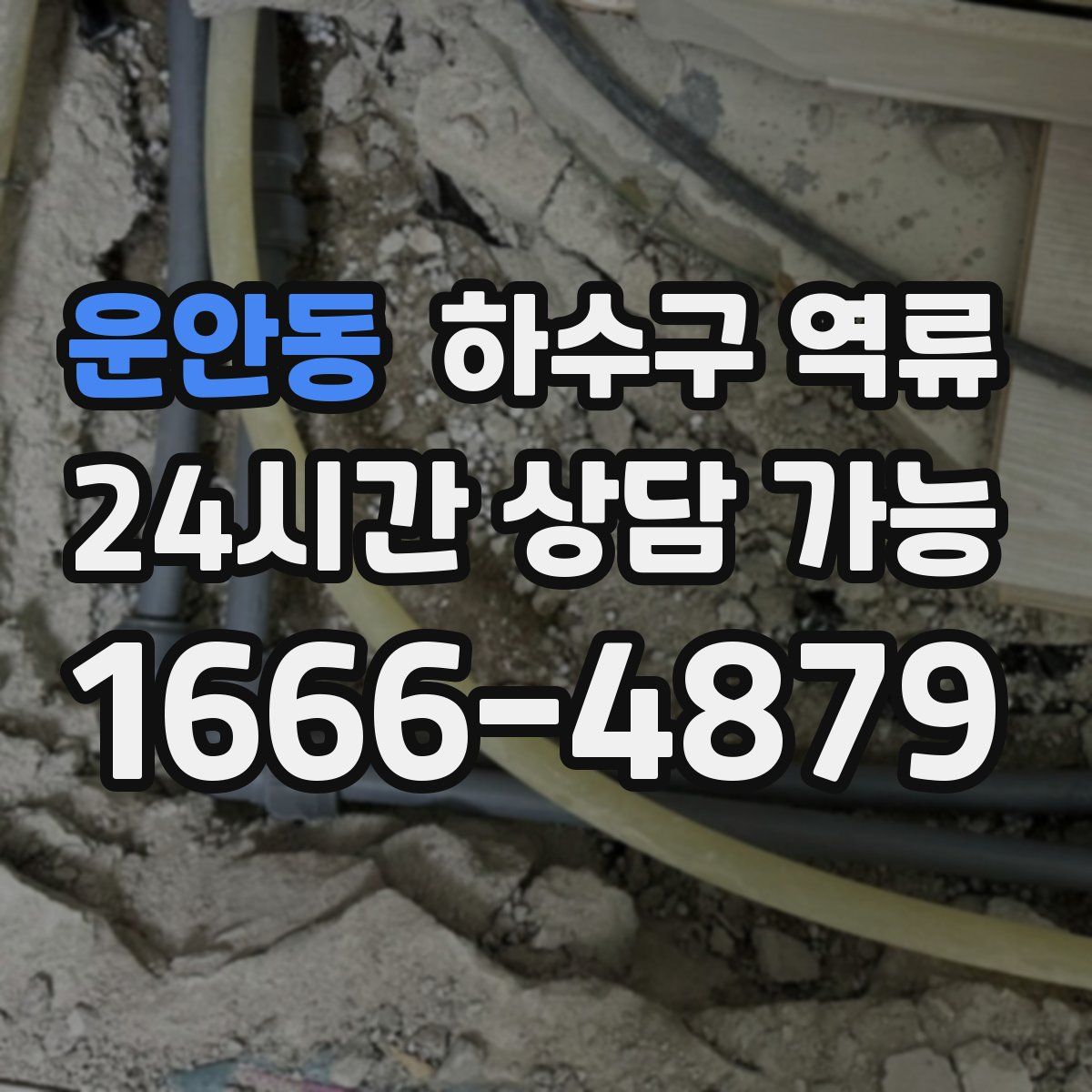 운안동 하수구 역류