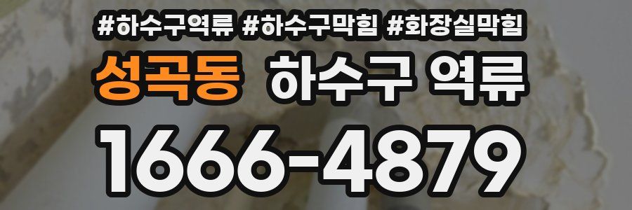 성곡동 하수구 역류