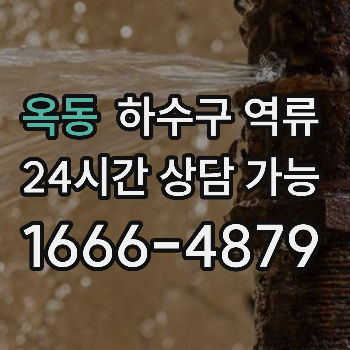 옥동 하수구 역류