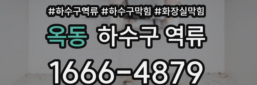 옥동 하수구 역류