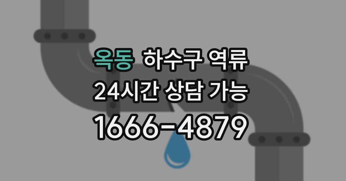 옥동 하수구 역류