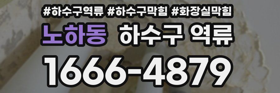 노하동 하수구 역류