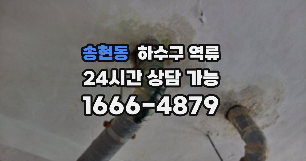 송현동 하수구 역류
