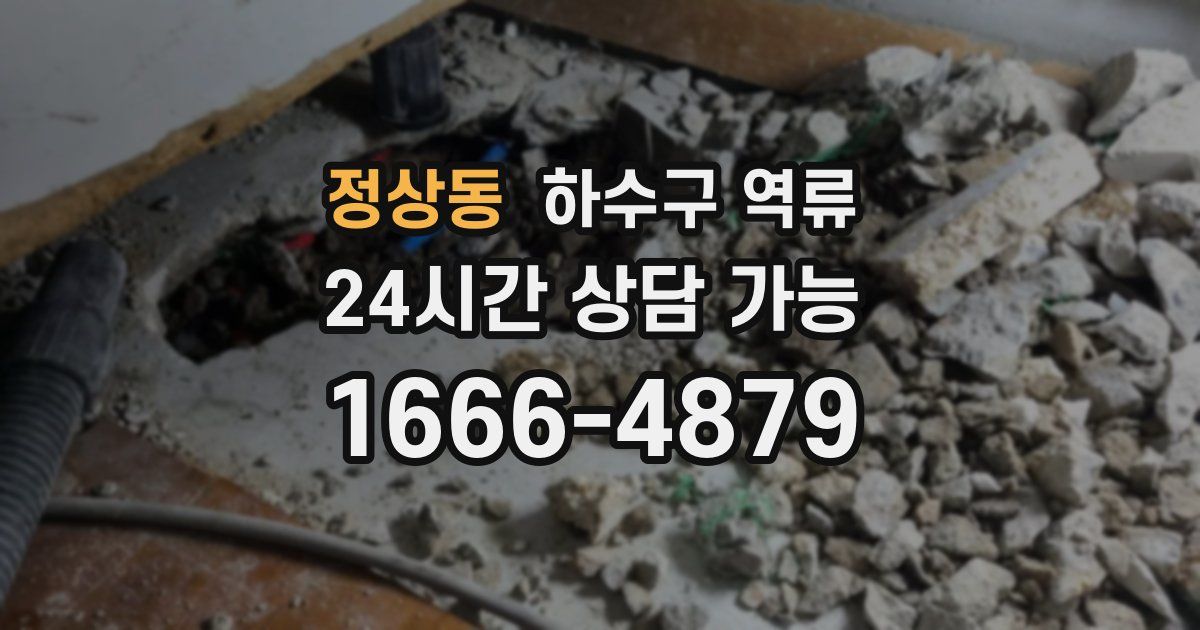 정상동 하수구 역류