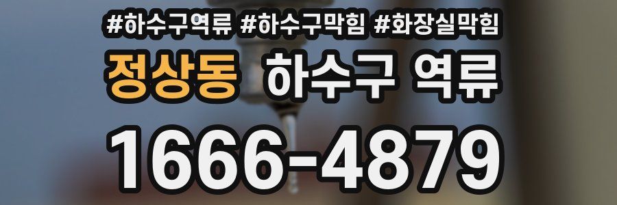 정상동 하수구 역류