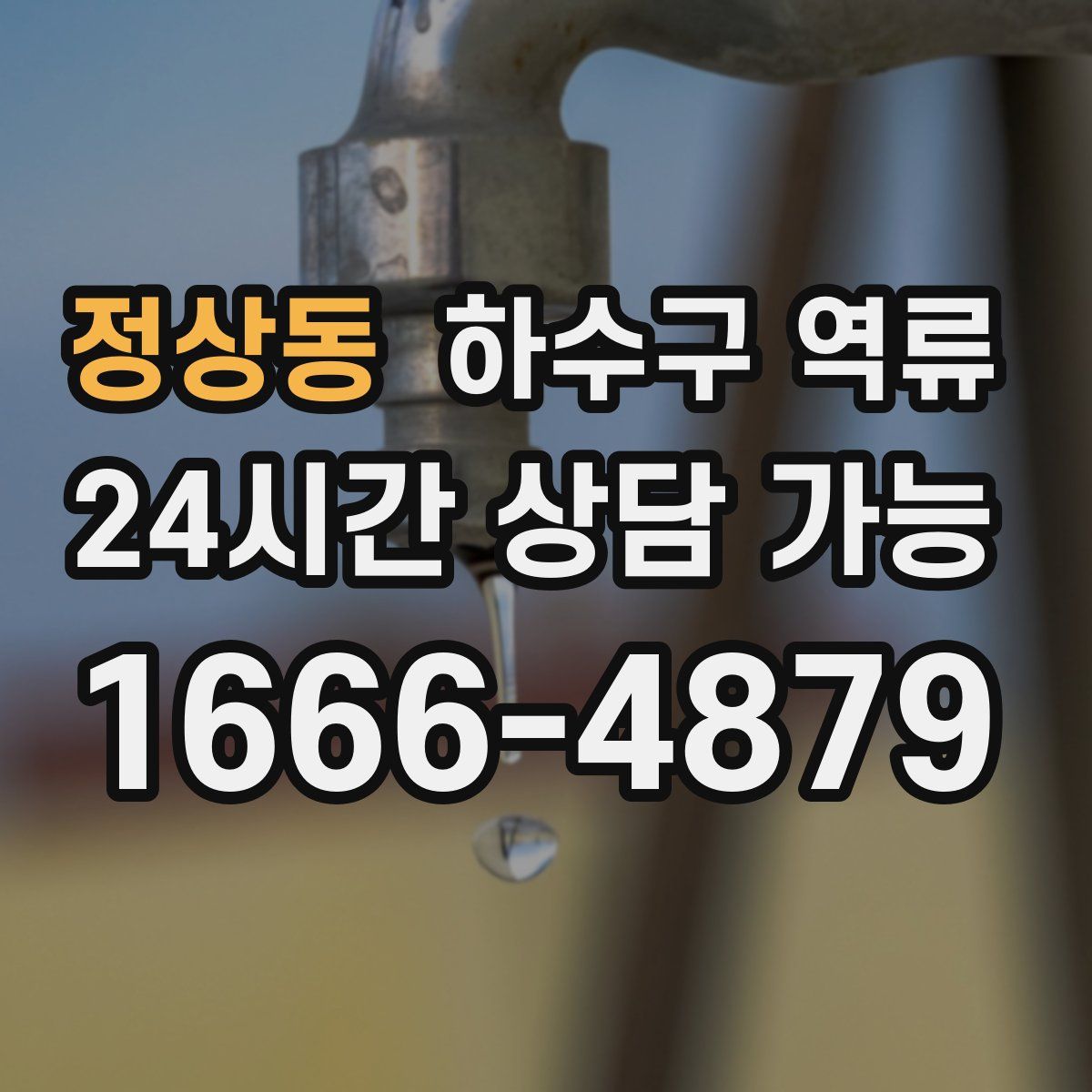 정상동 하수구 역류