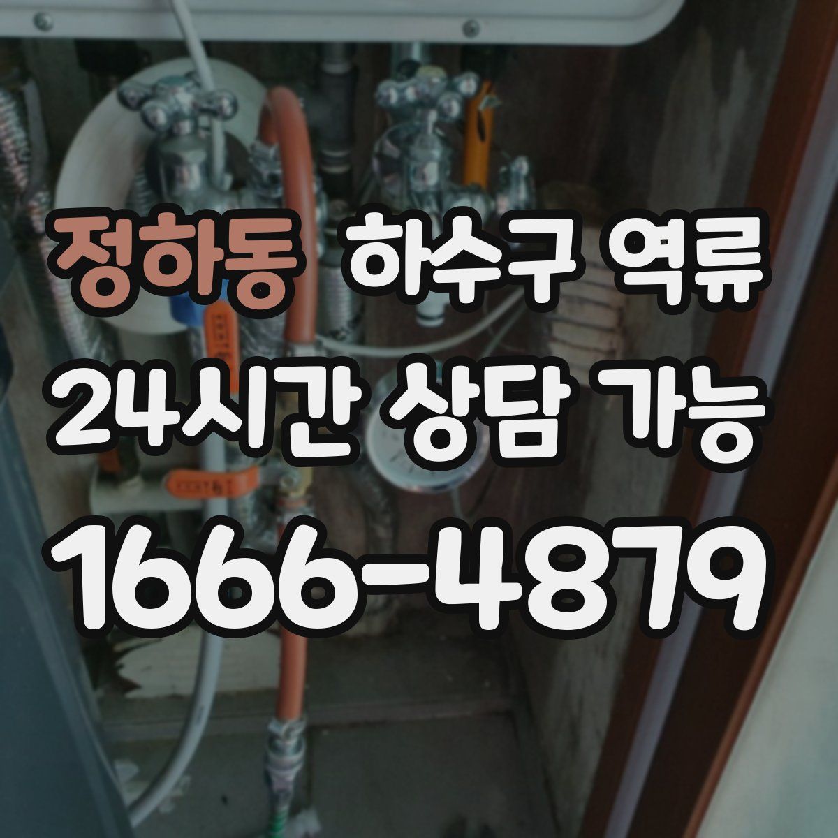 정하동 하수구 역류