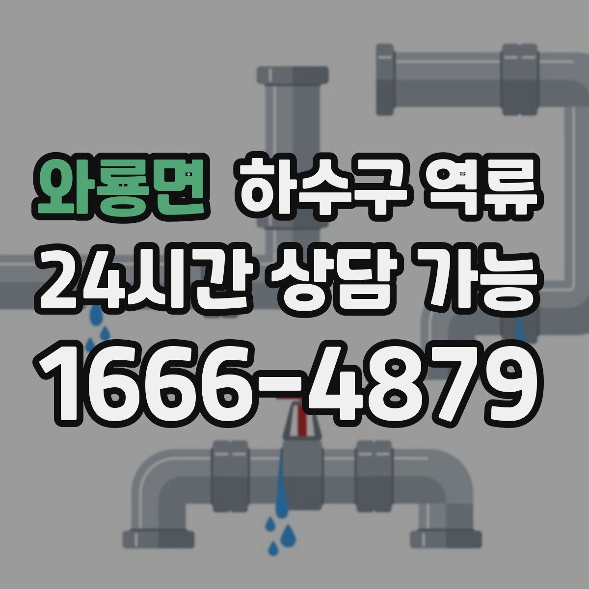와룡면 하수구 역류