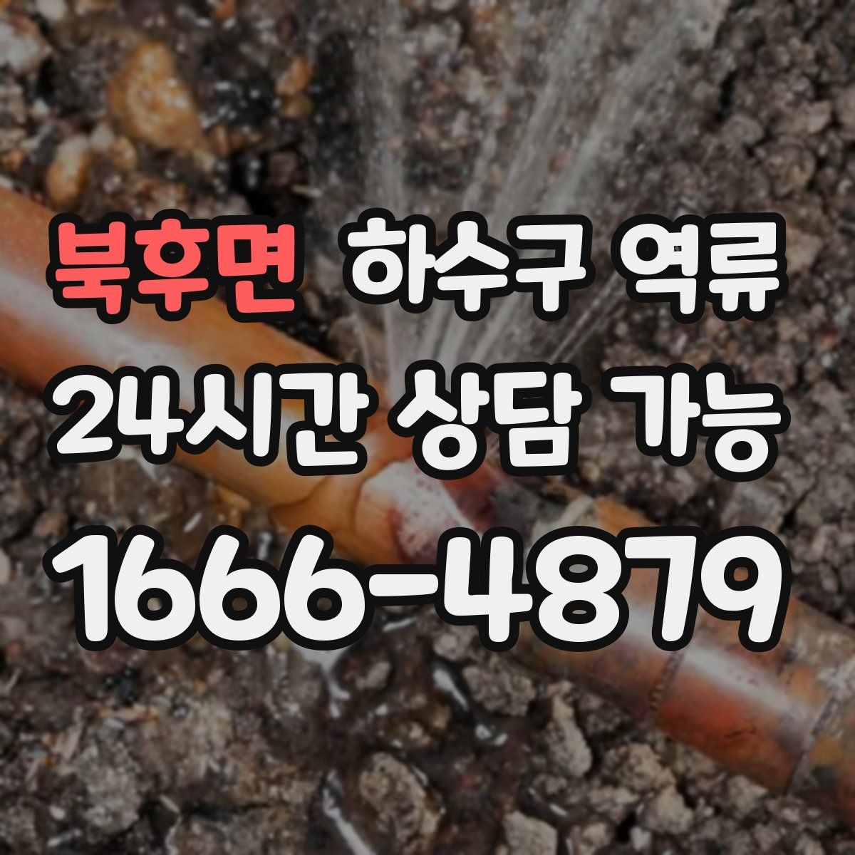 북후면 하수구 역류