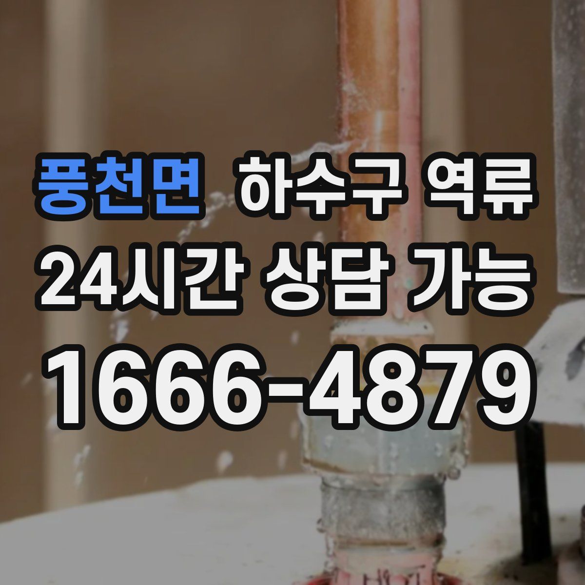 풍천면 하수구 역류