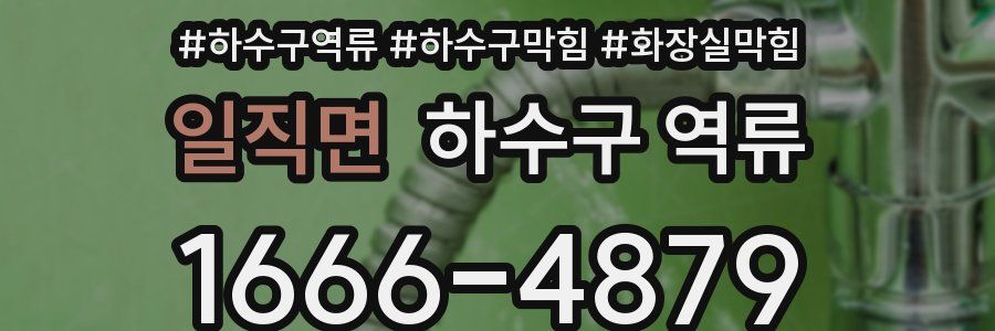 일직면 하수구 역류