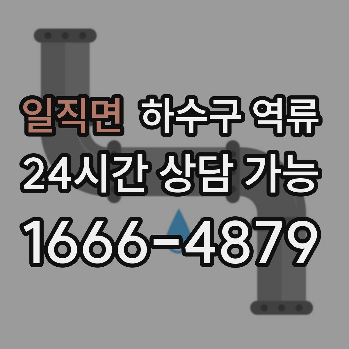 일직면 하수구 역류