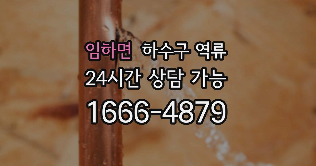 임하면 하수구 역류