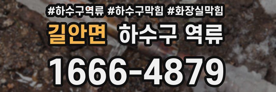 길안면 하수구 역류