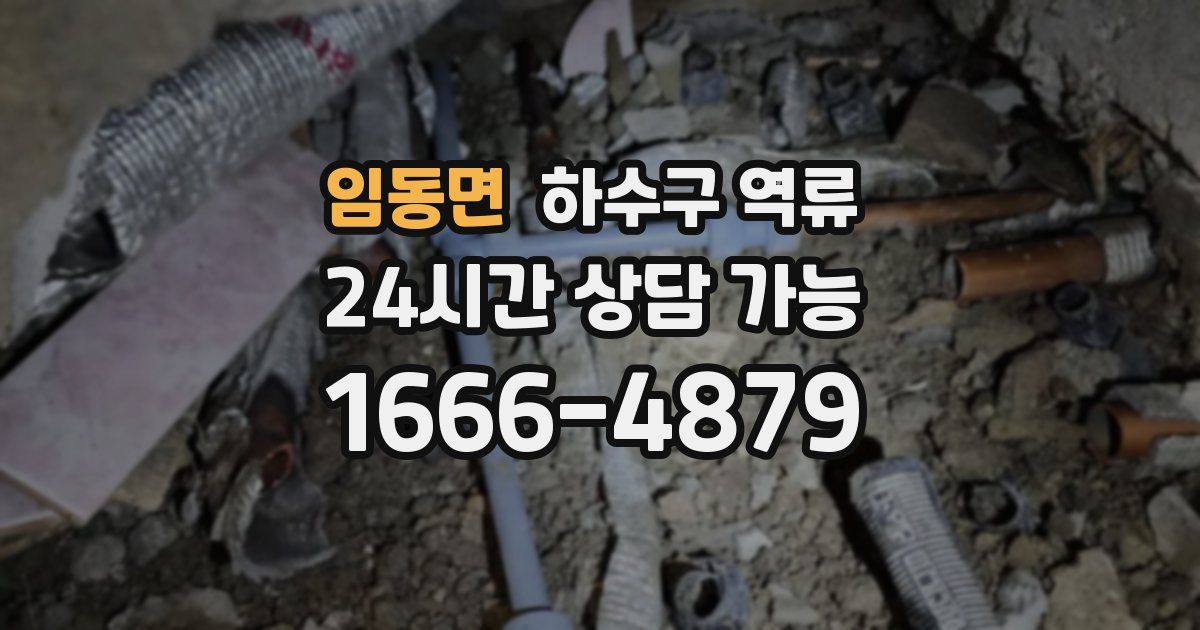 임동면 하수구 역류