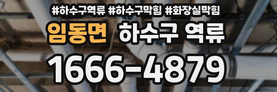 임동면 하수구 역류