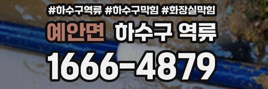 예안면 하수구 역류