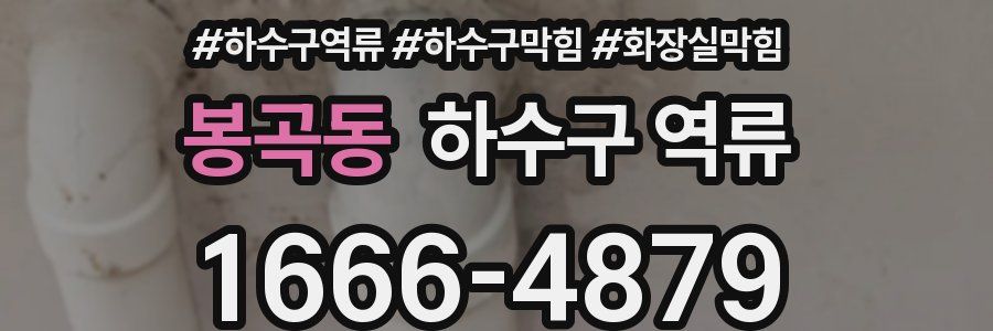 봉곡동 하수구 역류