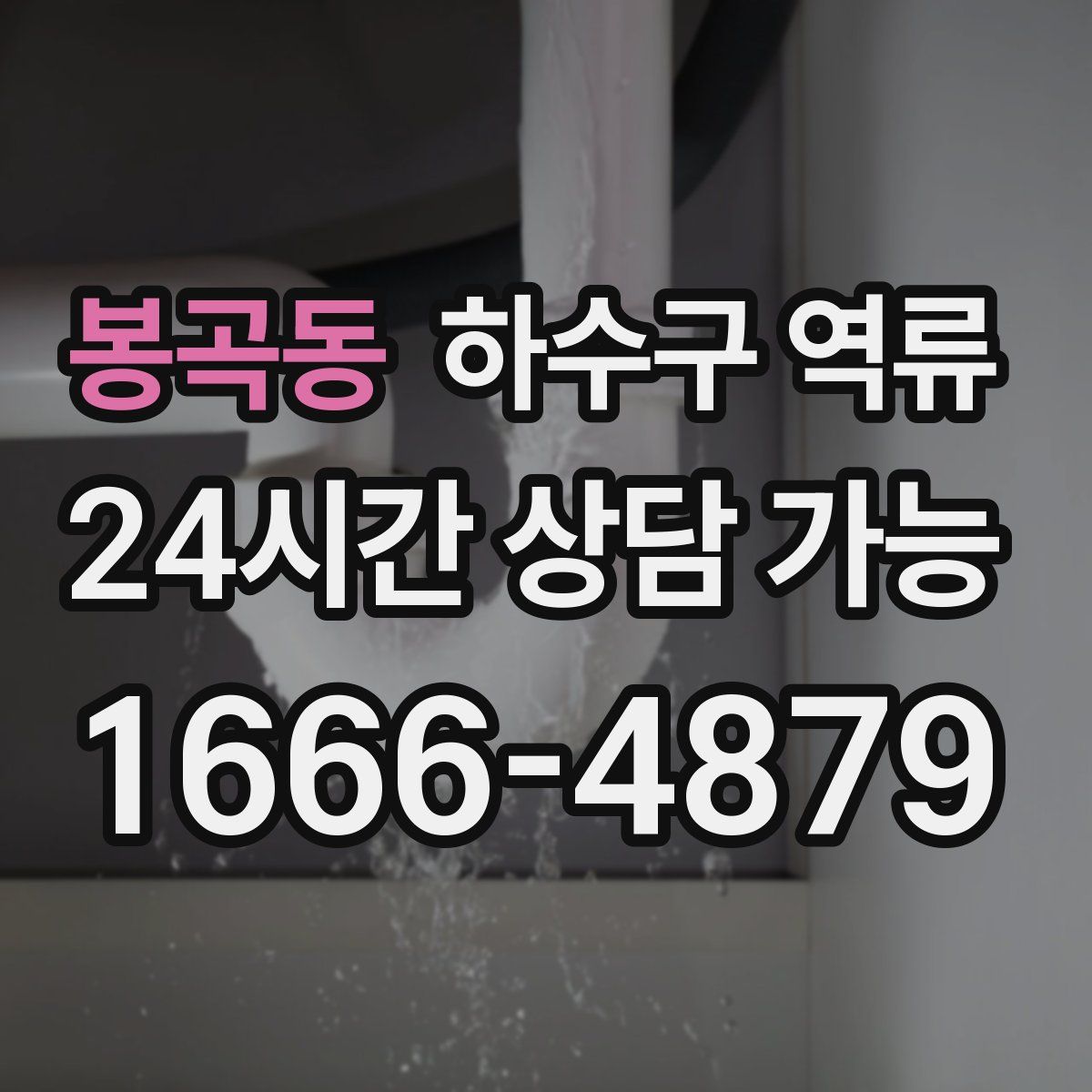 봉곡동 하수구 역류