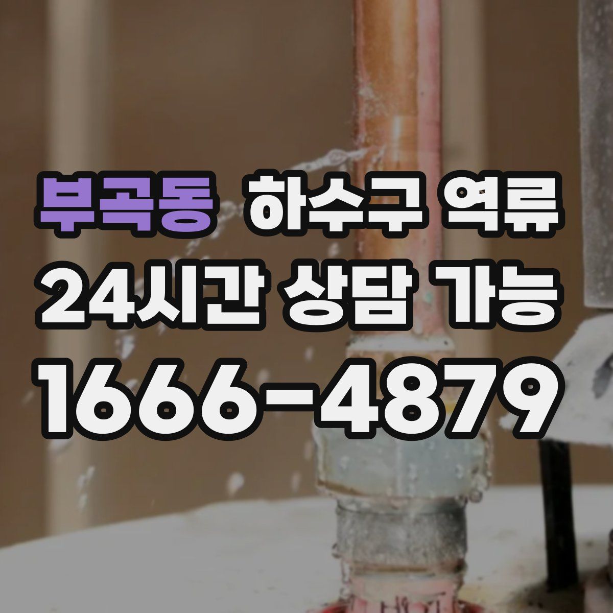 부곡동 하수구 역류