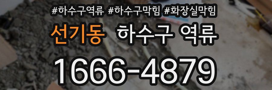 선기동 하수구 역류