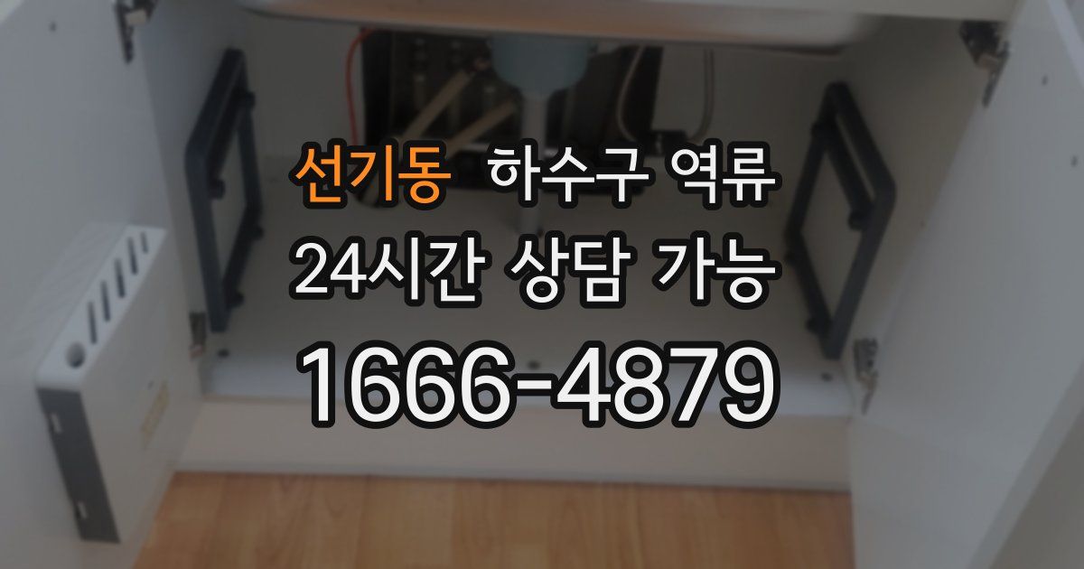 선기동 하수구 역류