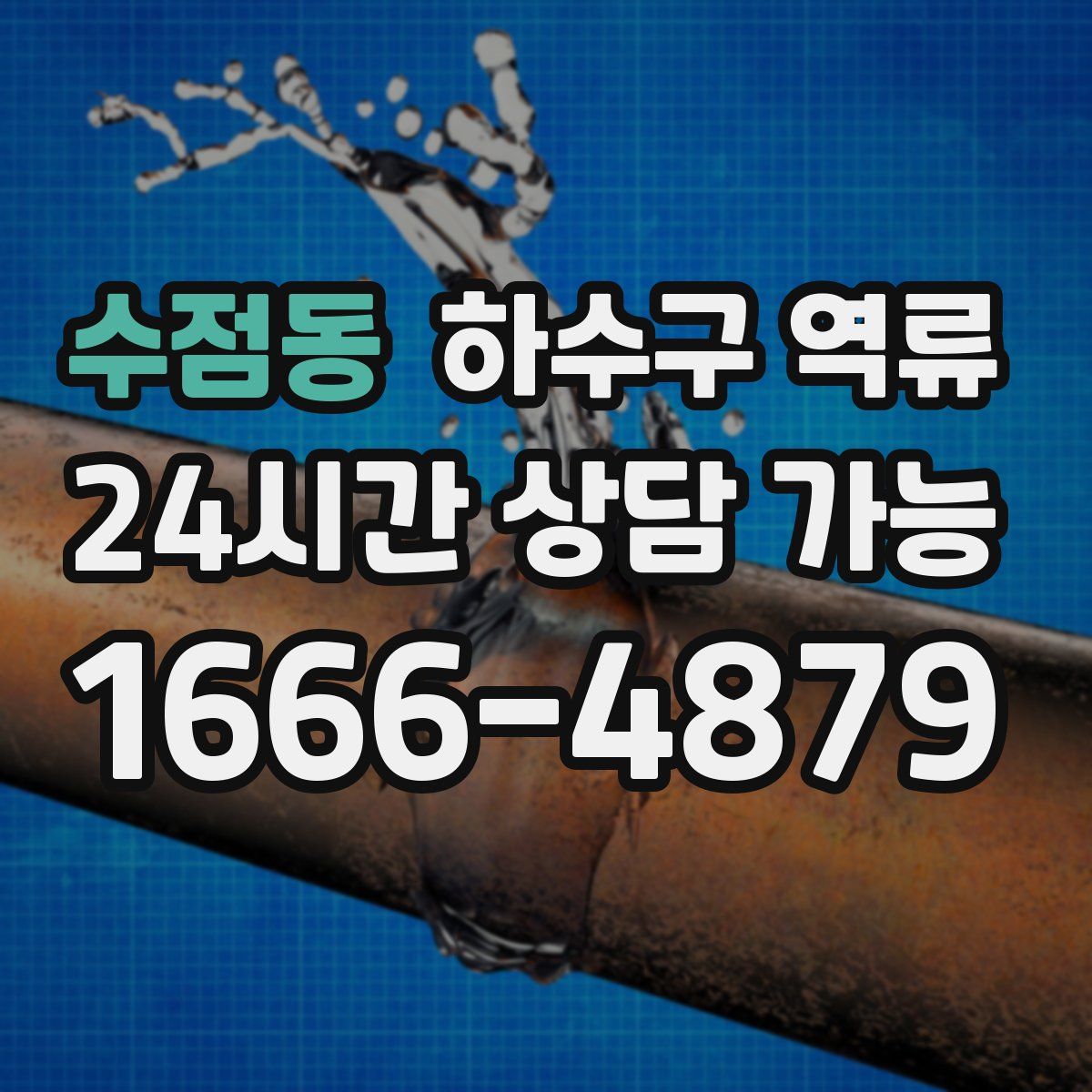 수점동 하수구 역류