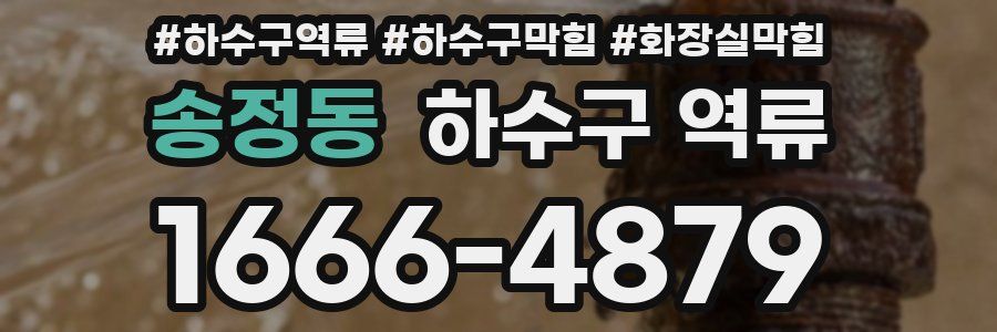 송정동 하수구 역류