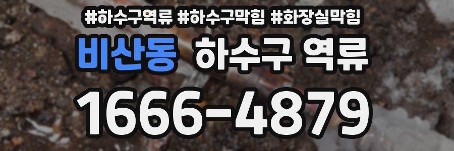 비산동 하수구 역류